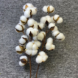 Artificially Dried Cotton Flowers